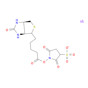 Sulpho NHS biotin