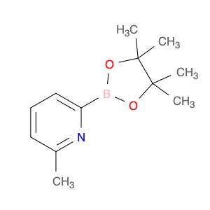 2-Methyl-6-(4,4,5,5-tetramethyl-1,3,2-dioxaborolan-2-yl)pyridine