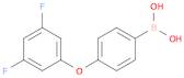 4-(3,5-Difluorophenoxy)phenylboronic acid