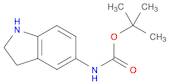 tert-Butyl indolin-5-ylcarbamate