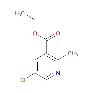 Ethyl 5-chloro-2-methylnicotinate