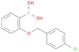 (2-((4-Chlorobenzyl)oxy)phenyl)boronic acid