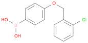 (4-((2-Chlorobenzyl)oxy)phenyl)boronic acid