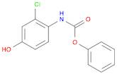 Carbamic acid, (2-chloro-4-hydroxyphenyl)-, phenyl ester