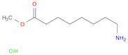 Octanoic acid, 8-amino-, methyl ester, hydrochloride