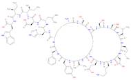 ENDOTHELIN 1 HUMAN, PORCINE