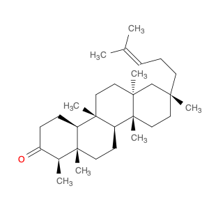 SHIONONE