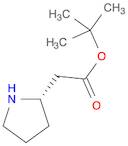 (S)-PYRROLIDIN-2-YL-ACETIC ACID TERT-BUTYL ESTER