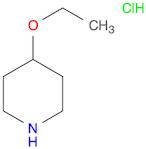 4-ETHOXYPIPERIDINE HYDROCHLORIDE