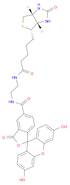 (3aS,4S,6aR)-N-[2-[[(3′,6′-Dihydroxy-3-oxospiro[isobenzofuran-1(3H),9′-[9H]xanthen]-5-yl)carbony...