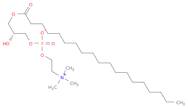 1-Nonadecanoyl-2-hydroxy-sn-glycero-3-phosphocholine