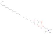 1-ARACHIDOYL-2-HYDROXY-SN-GLYCERO-3-PHOSPHOCHOLINE