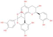 EPICATECHIN-(4β->8