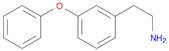 3-PHENOXYPHENETHYLAMINE