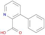 3-PHENYL-2-PYRIDINECARBOXYLIC ACID