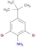 2,6-Dibromo-4-tert-butylaniline