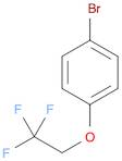 1-BROMO-4-(2,2,2-TRIFLUOROETHOXY)BENZENE