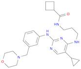 N-[3-[[5-Cyclopropyl-2-[[3-(4-morpholinylmethyl)phenyl]amino]-4-pyrimidinyl]amino]propyl]cyclobu...