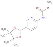 2-MethoxycarbonylaMinopyridin-5-ylboronic acid pinacol ester