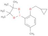 2-CyclopropylMethoxy-5-Methylphenylboronic acid pinacol ester