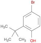 4-BROMO-2-TERT-BUTYLPHENOL