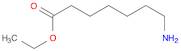 7-AMINO-HEPTANOIC ACID HCL 