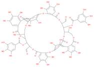 oenothein B