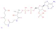 SUCCINYL COENZYME A SODIUM SALT