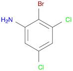 2-bromo-3,5-dichlorobenzenamine