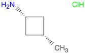 cis-3-Methylcyclobutanamine hydrochloride