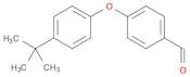 4-[4-(tert-Butyl)phenoxy]benzaldehyde