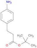 tert-Butyl 3-(4-aminophenyl)propanoate