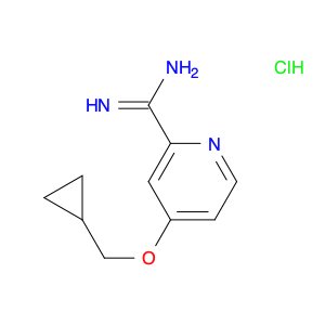 4-(CYCLOPROPYLMETHOXY)PICOLINIMIDAMIDE HYDROCHLORIDE