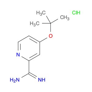 4-(tert-Butoxy)picolinimidamide hydrochloride