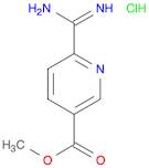 Methyl 6-carbaMiMidoylnicotinate hydrochloride