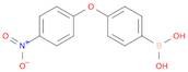 4-(4-Nitrophenoxy)phenylboronic acid