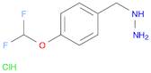 [4-(DIFLUOROMETHOXY)BENZYL]HYDRAZINE DIHYDROCHLORIDE