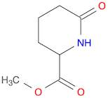 METHYL 6-OXOPIPERIDINE-2-CARBOXYLATE