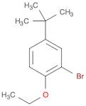 2-BroMo-4-(tert-butyl)-1-ethoxybenzene