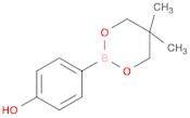 4-(5,5-Dimethyl-1,3,2-dioxaborinan-2-yl)phenol