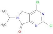 2,4-Dichloro-6-isopropyl-5,6-dihydropyrrolo[3,4-d]pyriMidin-7-one