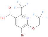 5-broMo-6-(2,2,2-trifluoroethoxy)-2-(trifluoroMethyl)nicotinic acid