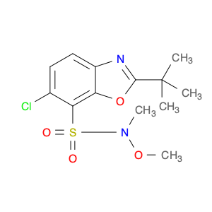 2-t-Butyl-6-chlorobenzoxazole-7-(N-Methyl-N-Methoxy)sulfonaMide