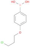 (4-(3-chloropropoxy)phenyl)boronic acid