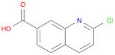 2-Chloro-7-quinolinecarboxylic acid