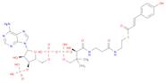 [(2R,3S,4R,5R)-5-(6-aminopurin-9-yl)-4-hydroxy-2-[[hydroxy-[hydroxy-[3-hydroxy-3-[2-[2-[(E)-3-(4-h…