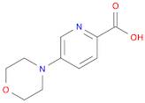 5-Morpholinopicolinic acid