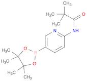 6-pivalamidopyridine-3-boronic acid pinacol ester