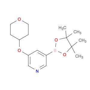 3-[(Tetrahydro-2h-pyran-4-yl)oxy]-5-(4,4,5,5-tetramethyl-1,3,2-dioxaborolan-2-yl)-pyridine