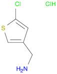 (5-chlorothiophen-3-yl)methanamine hydrochloride